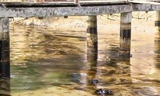 河水受漏油污染严重影响